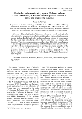 Head Color and Caruncles of Sympatric Cathartes Vultures (Aves: Cathartidae) in Guyana and Their Possible Function in Intra- and Interspeciﬁc Signaling