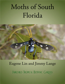 Moths of South Florida