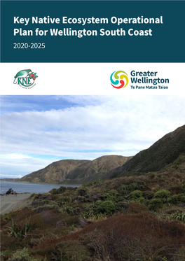 Key Native Ecosystem Operational Plan for Wellington South Coast 2020-2025