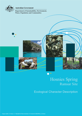 Hosnies Spring Ramsar Site Ecological Character Description