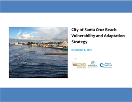 City of Santa Cruz Beach Vulnerability and Adaptation Strategy