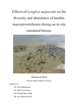 Lyngbya Majuscula on the Diversity and Abundance of Benthic Macroinvertebrates During an in Situ Simulated Bloom