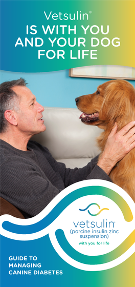 Vetsulin ® Pet Parent Brochure