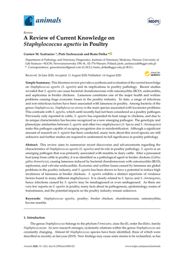 A Review of Current Knowledge on Staphylococcus Agnetis in Poultry