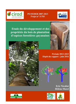 Laurel Résultats Des Différents Essais En Guyane Et De L’Étude En Forêt Naturelle À Saul