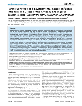 Dicerandra Immaculata Var. Savannarum)