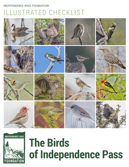 The Birds of Independence Pass