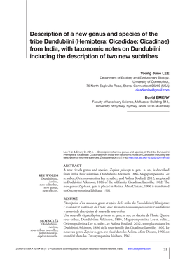 Hemiptera: Cicadidae: Cicadinae) from India, with Taxonomic Notes on Dundubiini Including the Description of Two New Subtribes