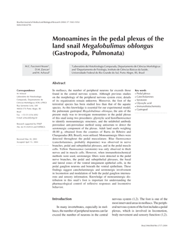 Monoamines in the Pedal Plexus of the Land Snail Megalobulimus Oblongus (Gastropoda, Pulmonata)