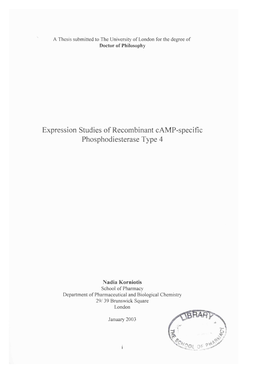 Expression Studies of Recombinant Camp-Specific Phosphodiesterase Type 4