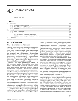 Molecular Detection of Human Fungal Pathogens