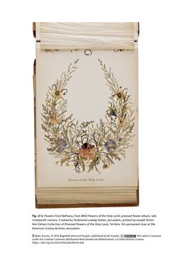 Fig. 17.1: Flowers from Bethany, from Wild Flowers of the Holy Land, Pressed Flower Album, Late Nineteenth Century