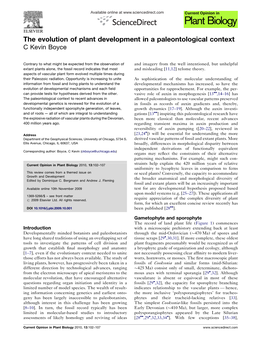 The Evolution of Plant Development in a Paleontological Context C Kevin Boyce