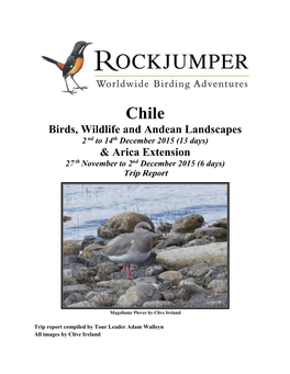 Birds, Wildlife and Andean Landscapes & Arica Extension