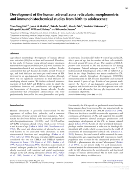 Development of the Human Adrenal Zona Reticularis: Morphometric and Immunohistochemical Studies from Birth to Adolescence