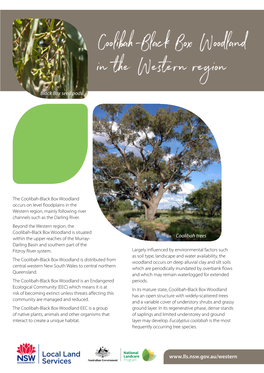 Coolibah-Black Box Woodland in the Western Region Apr 2019 PDF