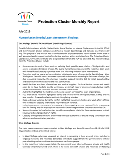 Protection Cluster Monthly Report July 2019