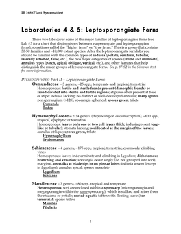 Laboratories 4 & 5: Leptosporangiate Ferns