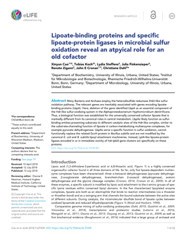 Lipoate-Binding Proteins and Specific Lipoate-Protein Ligases in Microbial
