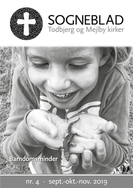 Todbjerg Og Mejlby Kirker