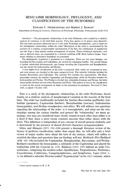 Hind Limb Morphology, Phylogeny, and Classification of the Piciformes