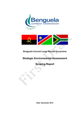 Strategic Environmental Assessment Scoping Report