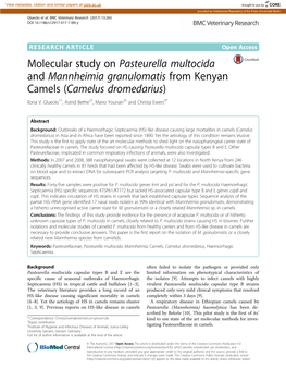 Molecular Study on Pasteurella Multocida and Mannheimia Granulomatis from Kenyan Camels (Camelus Dromedarius) Ilona V