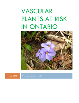Vascular Plants at Risk in Ontario