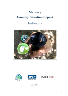 2018B Indonesia Mercury Country Situation