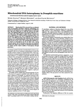 Mitochondrial DNA Heteroplasmy in Drosophila Mauritiana
