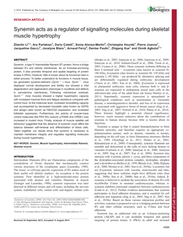 Synemin Acts As a Regulator of Signalling Molecules During Skeletal