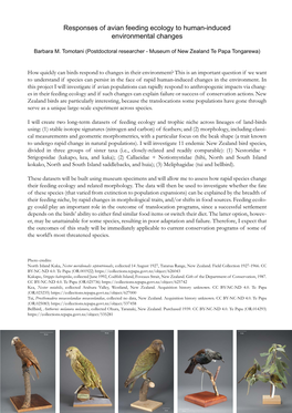 Responses of Avian Feeding Ecology to Human-Induced Environmental Changes