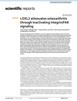 LOXL2 Attenuates Osteoarthritis Through Inactivating Integrin/FAK