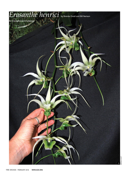 Erasanthe Henrici by Brenda Oviatt and Bill Nerison an Exceptional Challenge Tt Vi a a O 1 B R En D