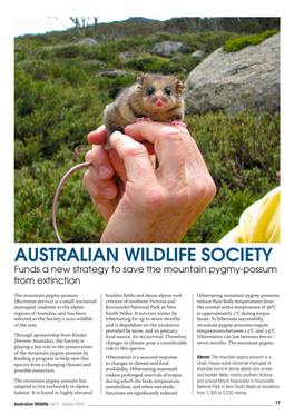 More Than 1000 Kilometres Until They Reach the Australian Alps in South Victoria and Kosciuszko National Park, in Summer, Where They Congregate in Huge Numbers