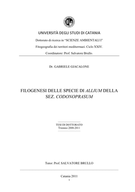 Filogenesi Delle Specie Di Allium Della Sez