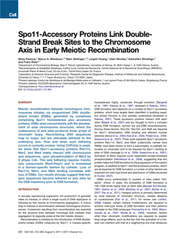 Spo11-Accessory Proteins Link Double-Strand Break Sites to The