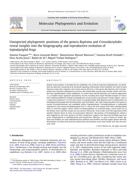 Unexpected Phylogenetic Positions of the Genera Rupirana and Crossodactylodes Reveal Insights Into the Biogeography and Reproduc