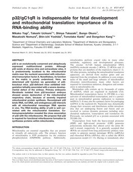 P32/Gc1qr Is Indispensable for Fetal