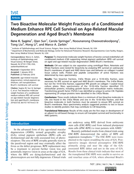 Two Bioactive Molecular Weight Fractions of a Conditioned Medium Enhance RPE Cell Survival on Age-Related Macular Degeneration and Aged Bruch’S Membrane