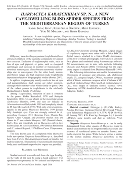 Harpactea Karaschkhan Sp. N., a New Cave-Dwelling Blind Spider Species from the Mediterranean Region of Turkey