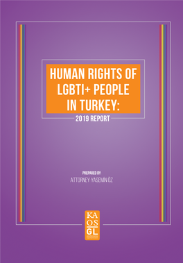 Human Rights of Lgbti+ People in Turkey: 2019 Report