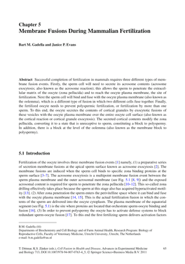 Membrane Fusions During Mammalian Fertilization
