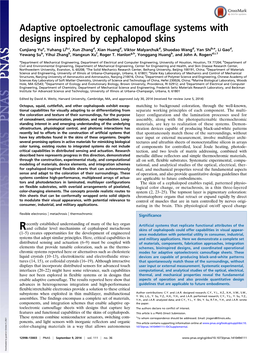 Adaptive Optoelectronic Camouflage Systems with Designs Inspired by Cephalopod Skins