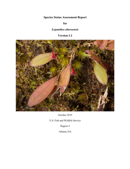 Species Status Assessment Report for Lepanthes Eltoroensis Version