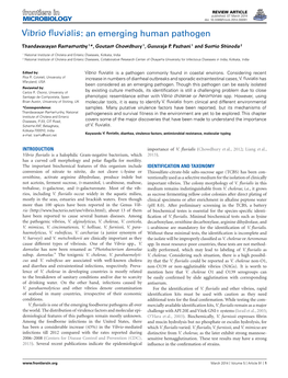 Vibrio Fluvialis: an Emerging Human Pathogen