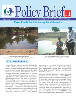 Policy Brief 11