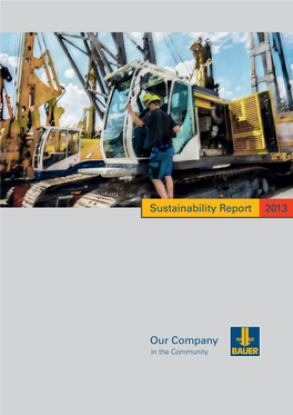 Our Company Sustainability Report 2013