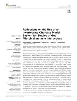 Reflections on the Use of an Invertebrate Chordate Model