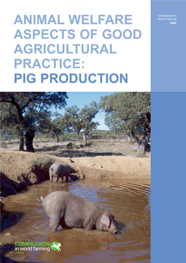 Animal Welfare Aspects of Good Agricultural Practice: Pig Production - Ciwf.Org/Gap 3